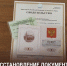 Жителям Дагестана, пострадавшим от ЧС, помогут восстановить документы без госпошлины - Карабудахкентский район